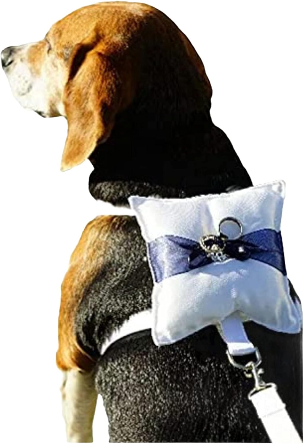 Ring Bearer Dog Harness with Pillow and Matching Leash (XS, Blush)