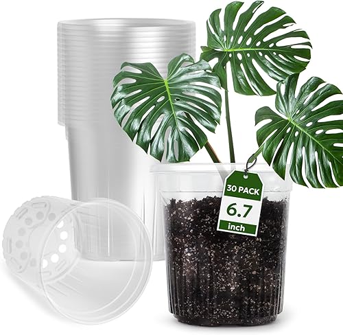 Macetas transparentes reforzadas de 1 galón con orificio de drenaje, 30 paquetes, macetas transparentes de 6.7 pulgadas para plántulas, plantas de