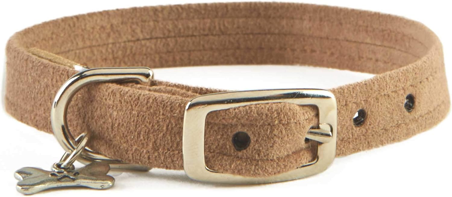 Susan Lanci Collar (XSmall, DOE)
