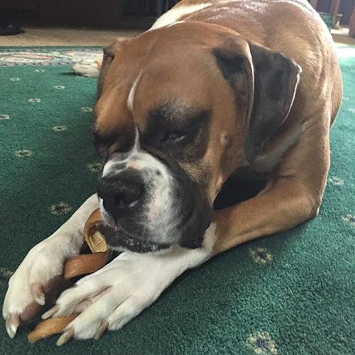 Miniatura 9 de Pawstruck Muelles masticables totalmente naturales de 6 pulgadas para perros, divertidos, desafiantes, sin piel cruda, 100% carne de res, huesos