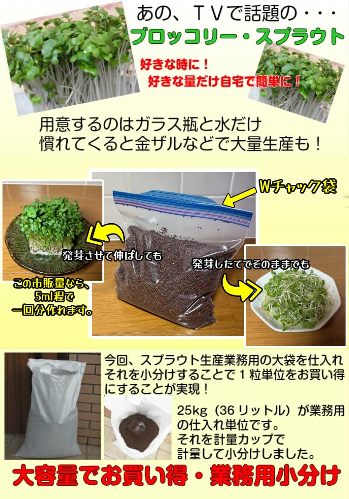 ブロッコリー(スプラウト)のタネ 300ML 約60回以上収穫可能 種子 一年草…