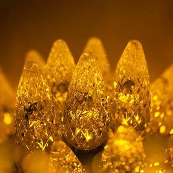 Wintergreen Lighting 24 ft 70 Count C6 Faceted Gold LED Christmas Lights, Green Wire Indoor/Outdoor Commercial Grade String for Holiday Decor