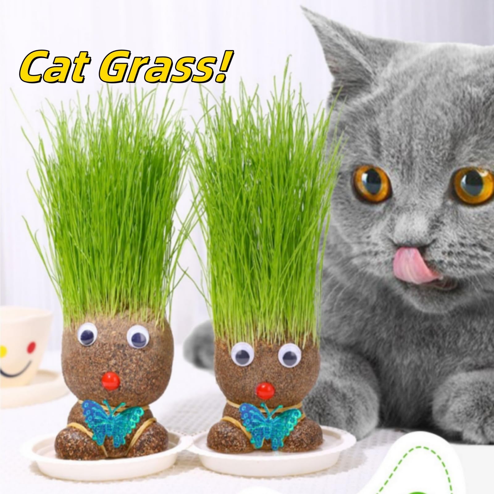 2 Plantas Cabeza De Hierba Para Niños - Maceta Muñeco Crece Pelo, Decoración Escritorio, Regalo Educativo