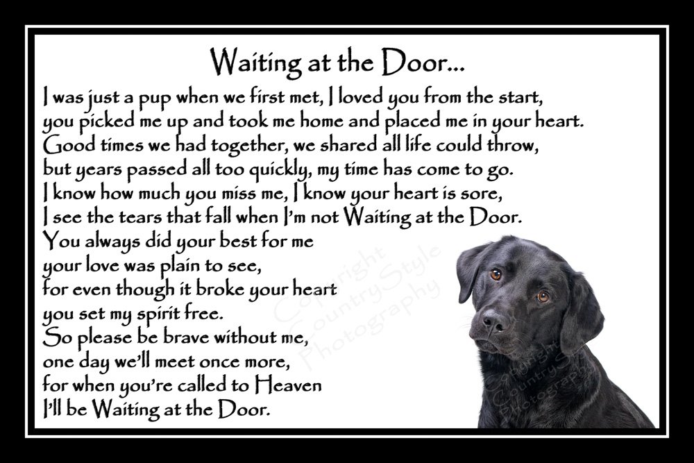 Black Labrador Pet Dog Bereavement Memorial Print (unframed) - Waiting at The Door