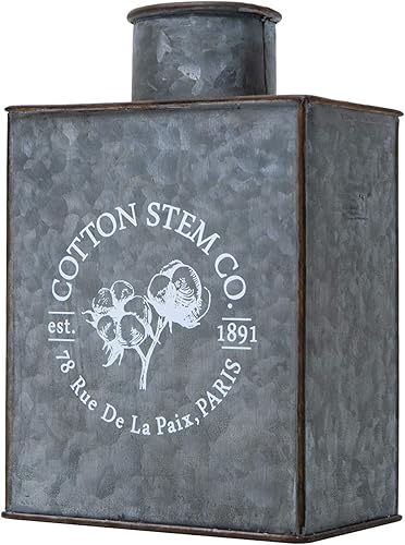 SOFFEE DESIGN Jarrón de hierro vintage, jarrón rústico desgastado chic para flores, oxidado envejecido decorado para sala de estar, dormitorio,