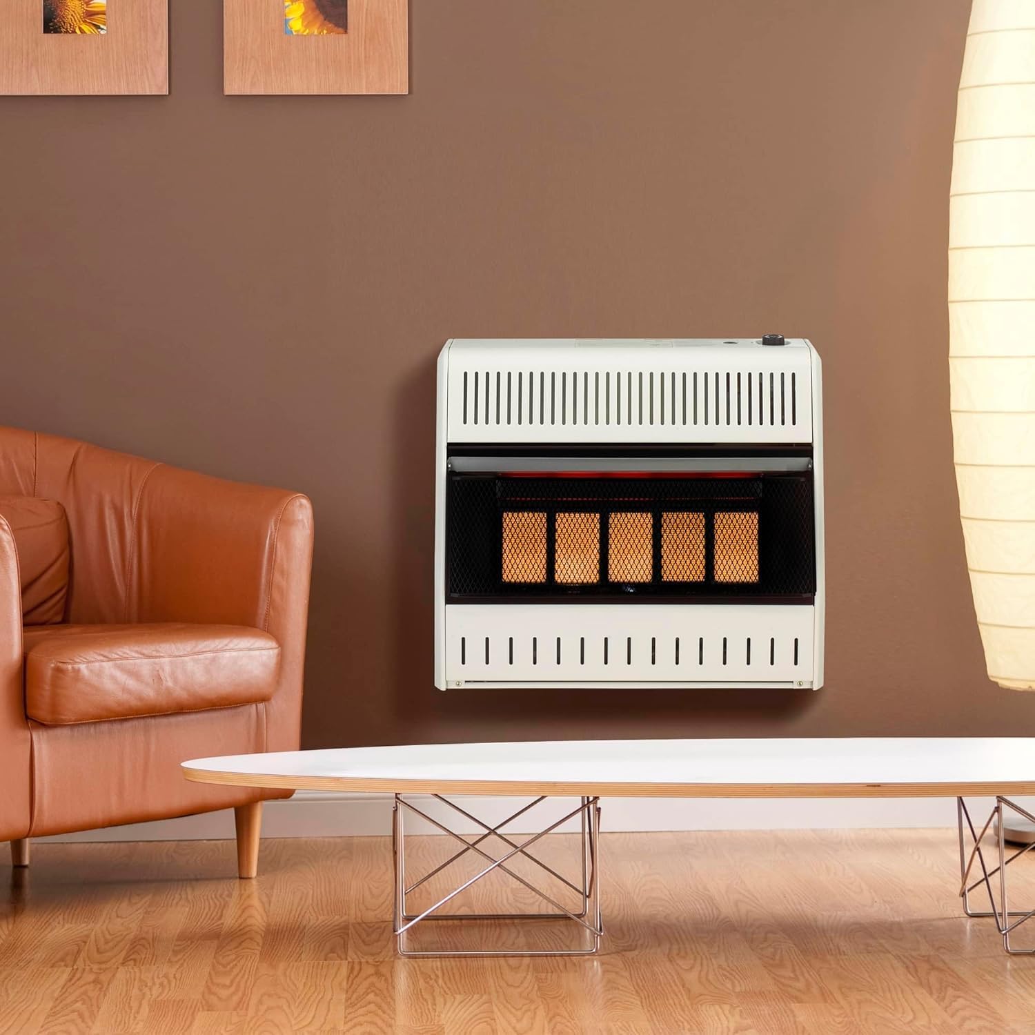 ProCom ML250TPA-B heater mounted on a wall in a living space