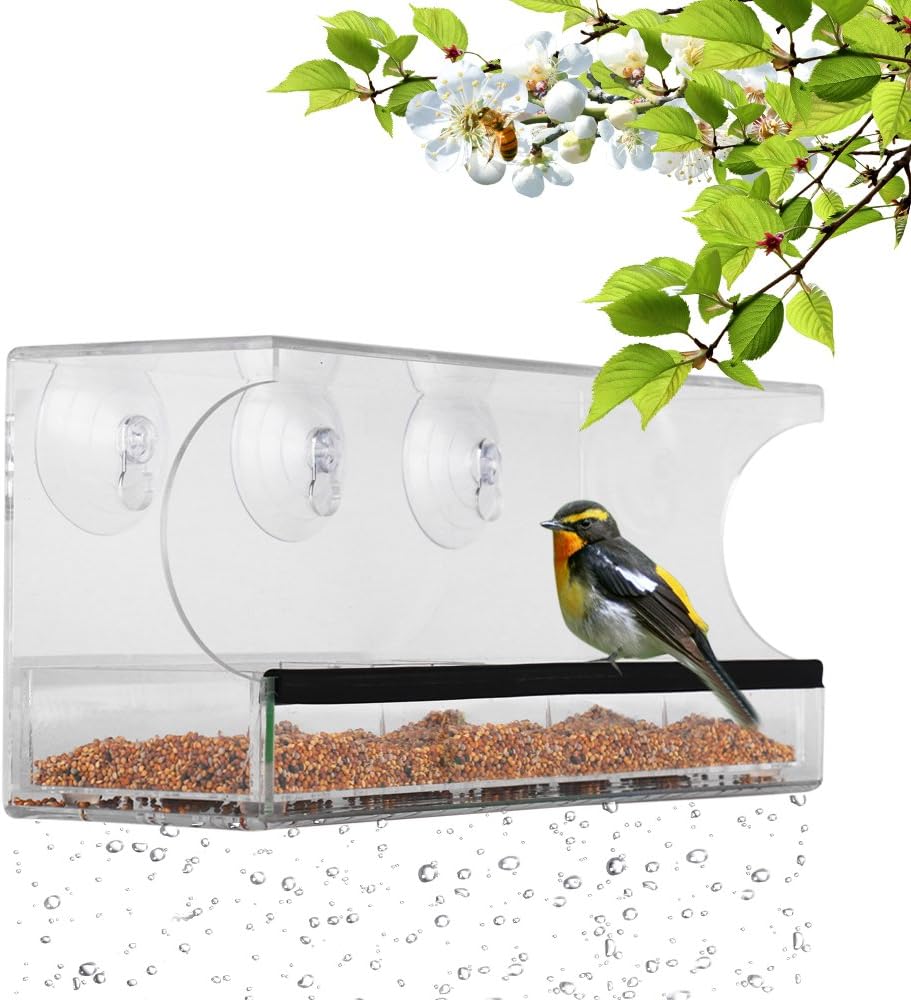 mangiatoie per uccelli a finestra