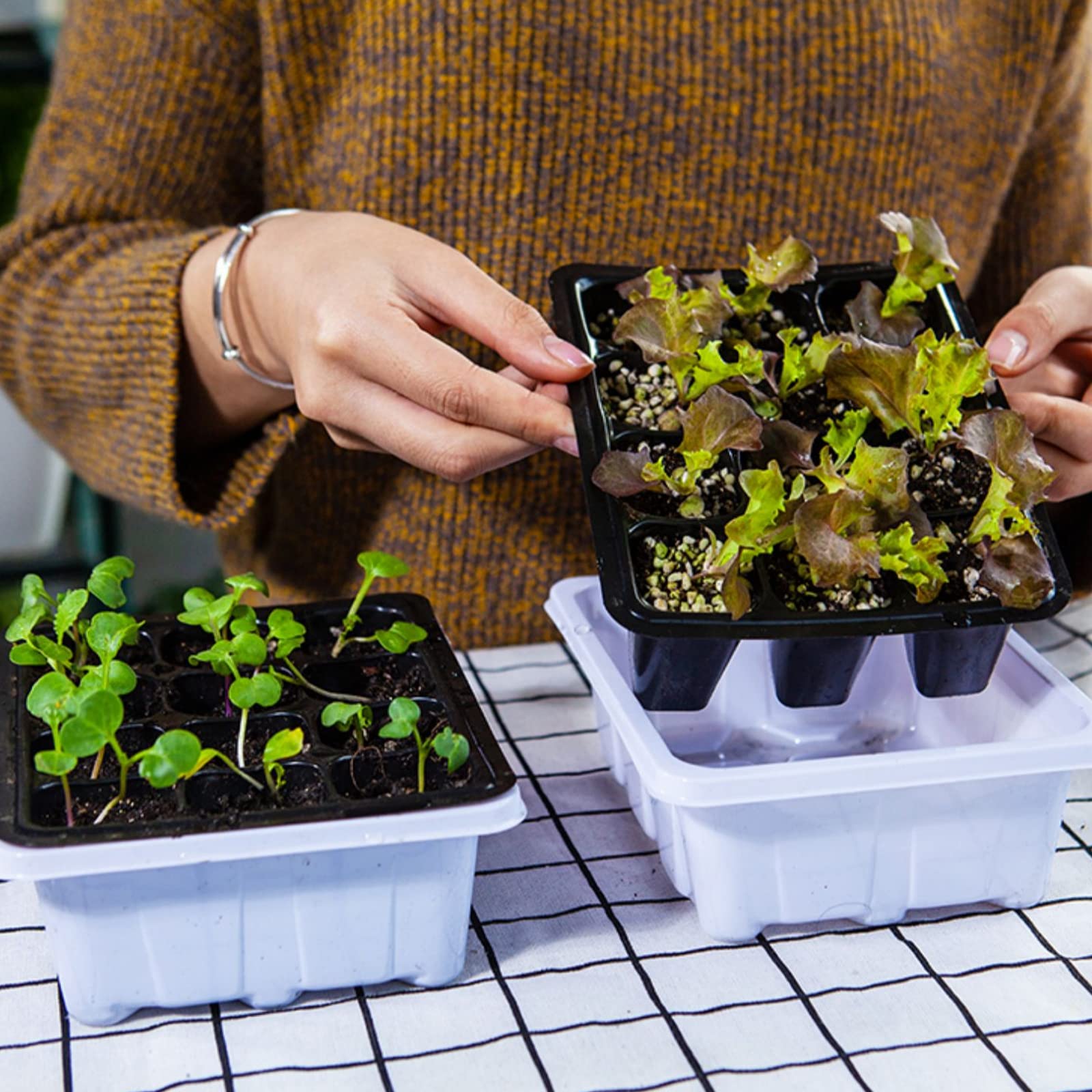 6 Pièces Bac à semis, Mini Serre pour Plantes Intérieure Plateau de Germination à 12 cellules Pépinière Boîte Propagateur avec Couvercle pour Jardin Croissance Semence