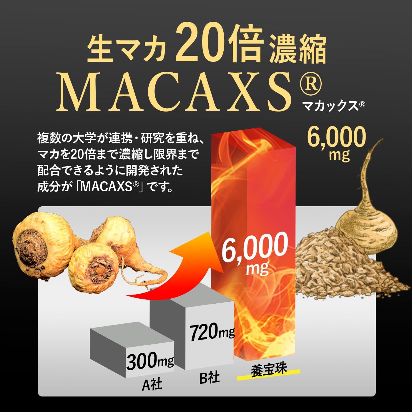 養宝珠 マカックス 6,000mg配合 シトルリン 亜鉛 厳選成分配合 養宝珠 マカックス 6,000mg配合 シトルリン 亜鉛 厳選成分配合