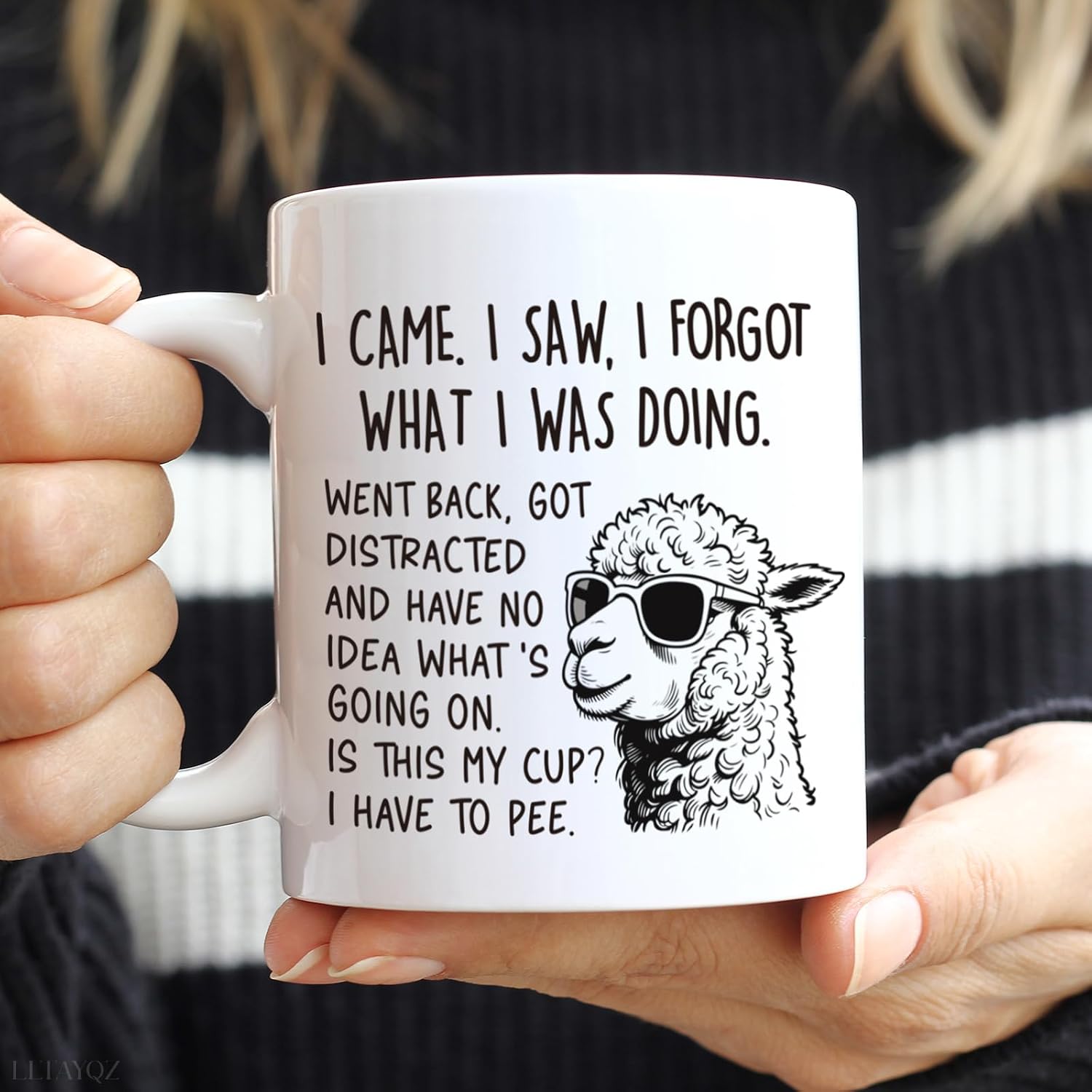 I Came I Saw I Forgot What I Was Doing Coffee Mug Gift for Old People Elderly, Funny Birthday Christmas Senior Citizens Sarcastic Ceramic Mugs Gifts for Old people elderly Mom Dad Grandma Grandpa-62