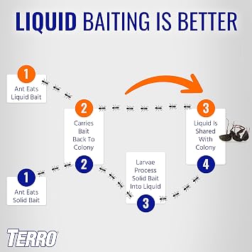 TERRO Liquid Ant Killer ll - T200, 2 oz - Ant Bait and Killer - Effective Insect Control for Indoors - Eliminate Colonies and Future Infestations