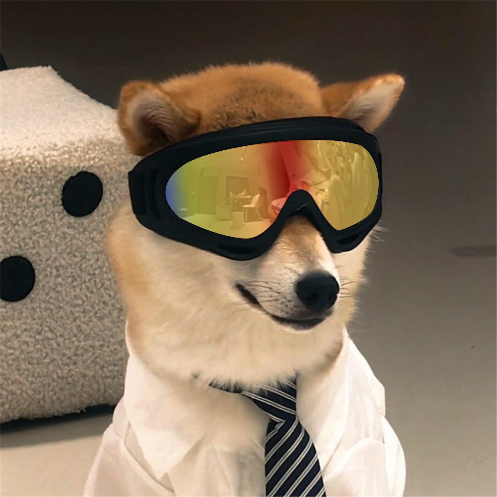 2Stück Hundebrille, Brille Hund UV-Schutz, Winddicht Hunde Brille, Sonnenbrille Hund mit Verstellbare Riemen, Hundesonnenbrille für Mittel Große Hunde, zum Autofahren,Outdoor-Aktivitäten,Farbe