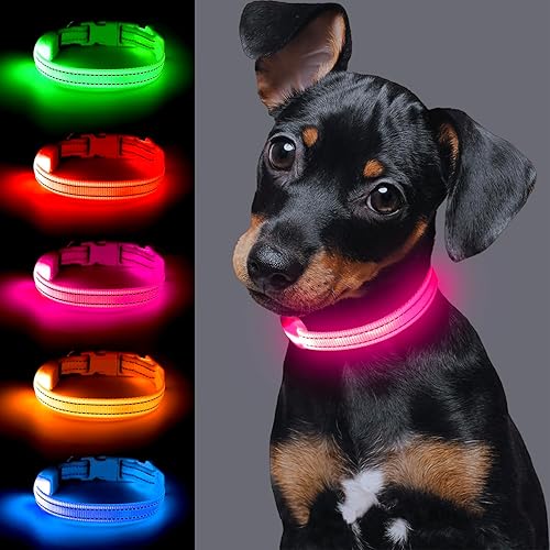 Miniatura 2 de Vizpet Collar LED para perro gato recargable por USB y tamaño XS ajustable, collar de nailon brillante para mascotas de seguridad para gatos y