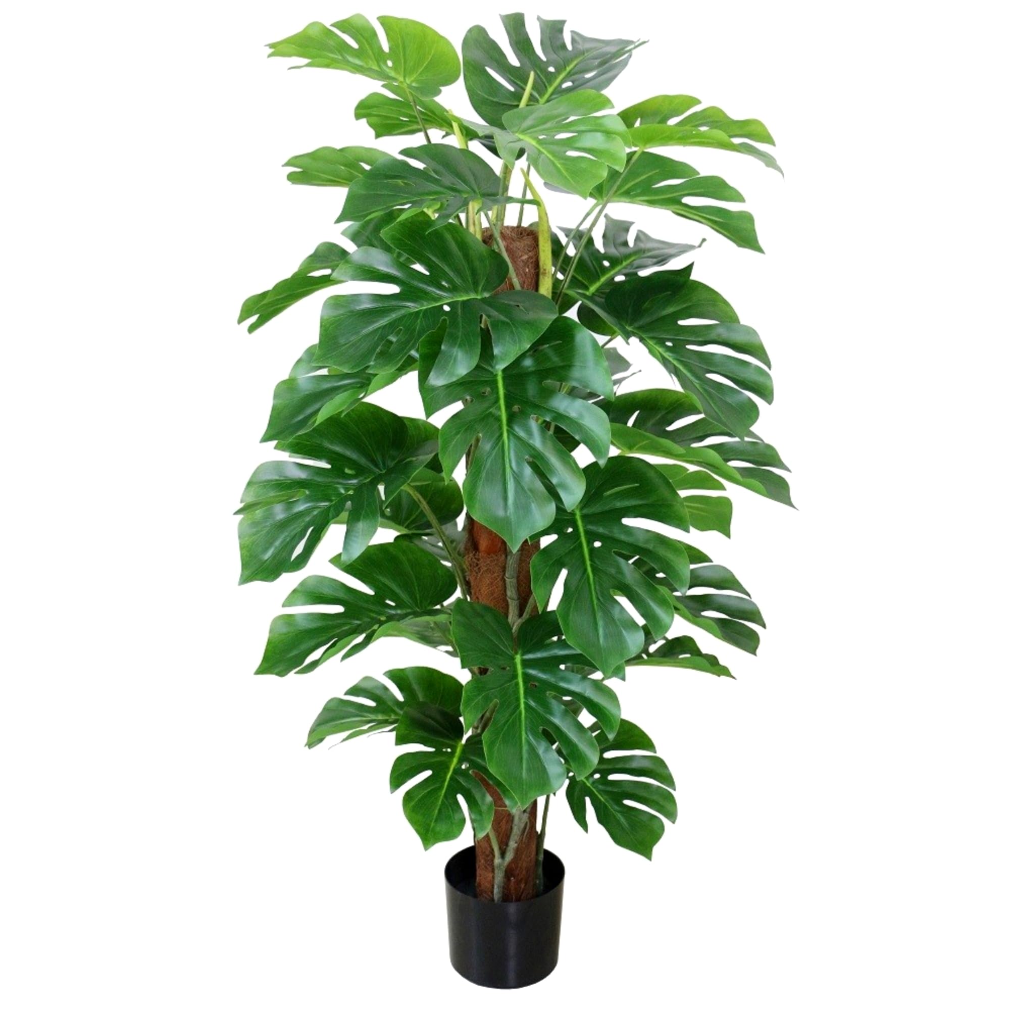 Seidenblumen Roß Splitphilo am Kokosstamm LA 115cm, künstlicher Baum Kunstbaum Kunstpflanze künstliche Pflanzen, Dekobaum Home Deco Deko Kunstblumen, Fake Plants Dekoration wie echt
