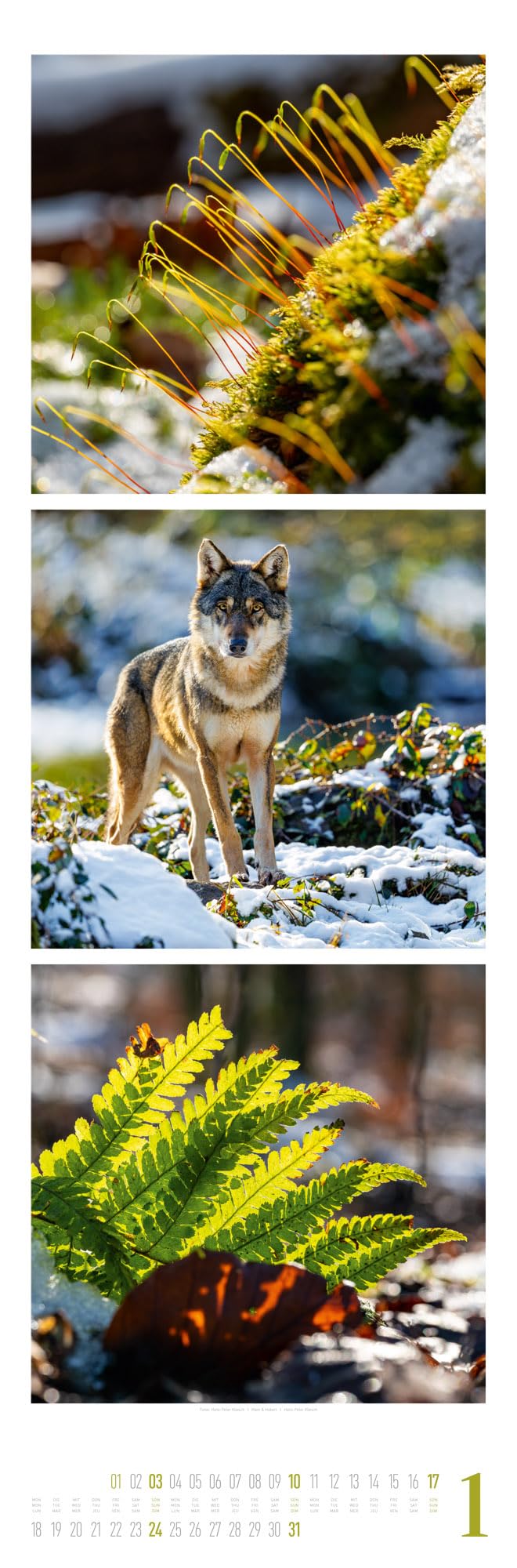 Nature Triplet-Kalender 2027 | Stilvoller Natur-Kalender im schlanken Hochformat (33x100 cm) | Triplet-Fotografie im Premium-Format