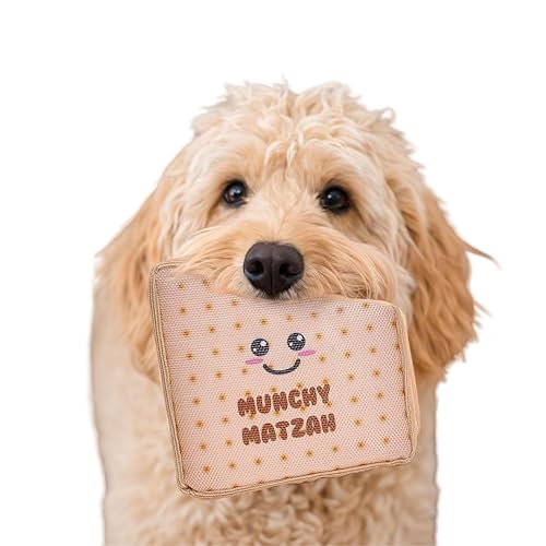 Rite Lite Chewdaica Matzah Dog Toy Crinkly Chewy Plush Dog
