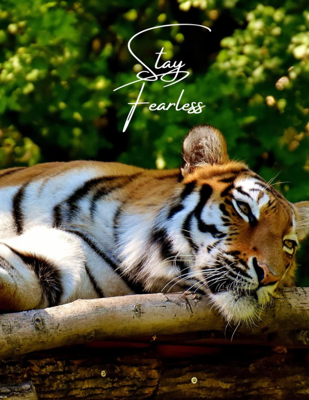 Tiger Carnet de notes format A4 lignes larges 200 pages pour femme - 2