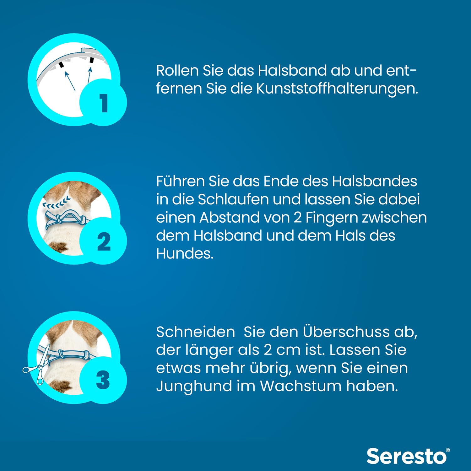 Seresto Zeckenhalsband Kombi-Set für große & kleine Hunde, 2 Halsbänder | Praktisches Set mit 1x für große Hunde (ab 8kg) & 1x für kleine Hunde (bis 8kg). Bis zu 8 Monate Schutz vor Flöhen & Zecken.