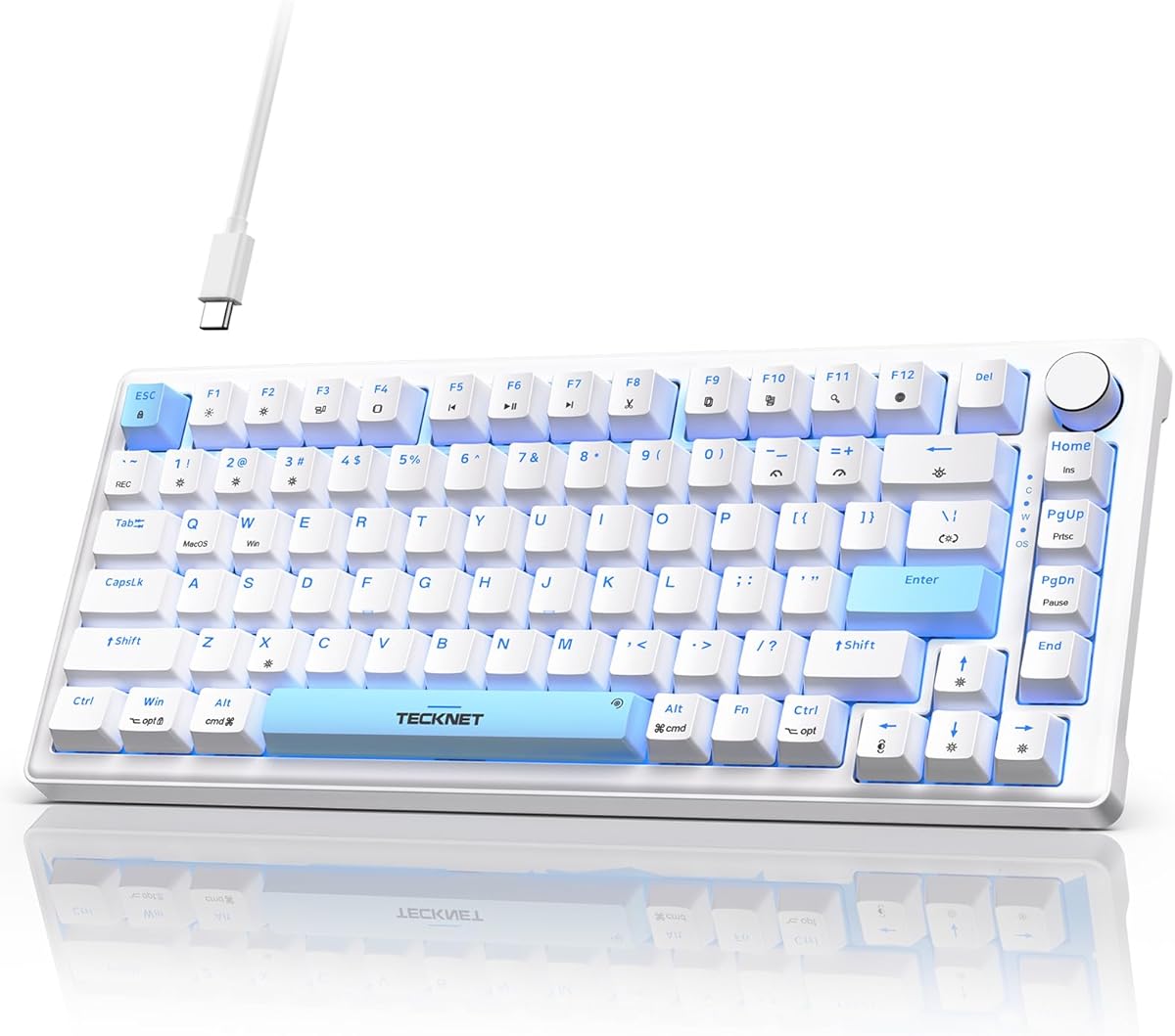 TECKNET Wired Gaming Keyboard, RGB Backlit Keyboards with Gasket Structure, USB C Mechanical Keyboard has 20 Lighting Effects & Multimedia Control Knob, Computer Keyboards for PC Laptop Mac Gamer