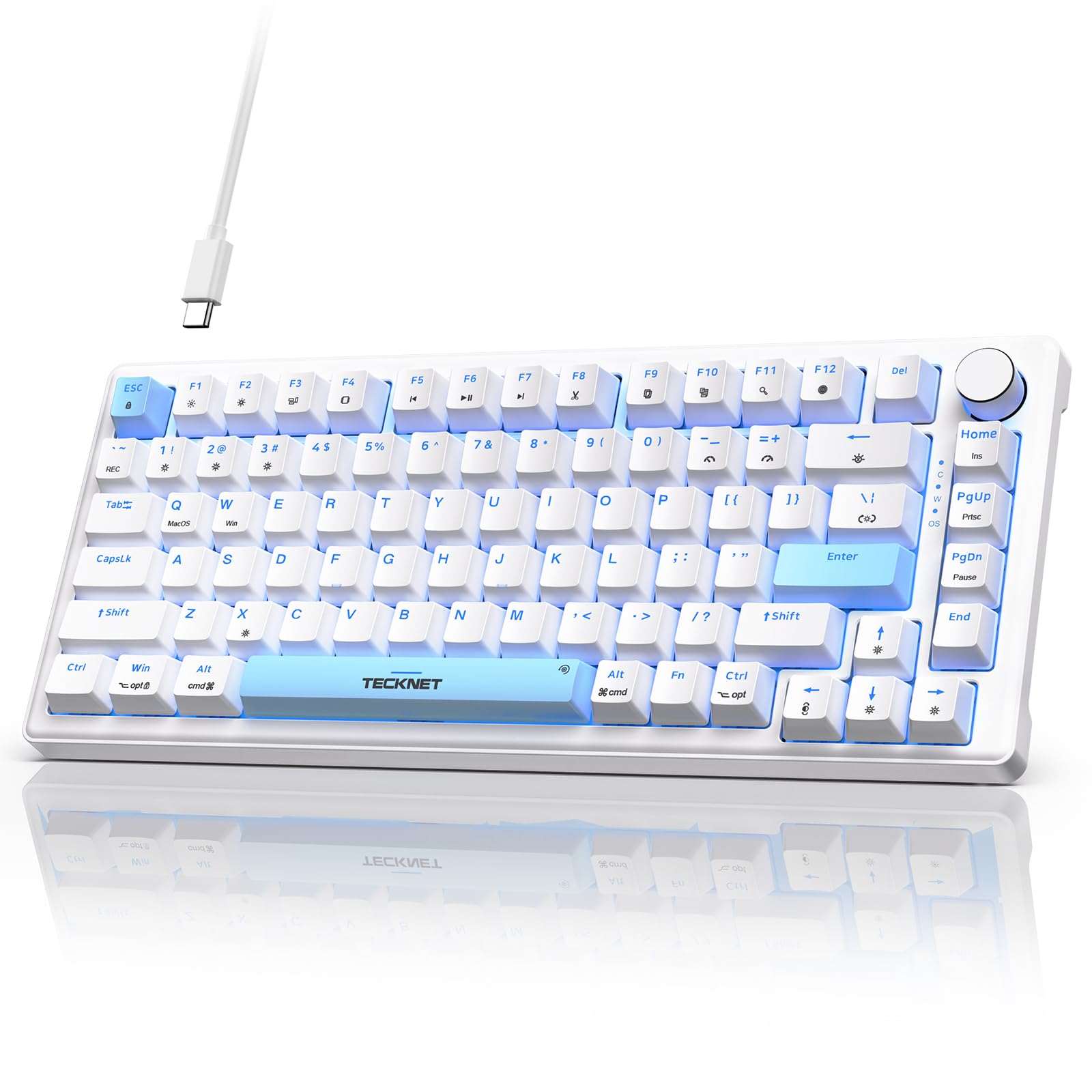 TECKNET Wired Gaming Keyboard, RGB Backlit Review – Best Budget Option?
