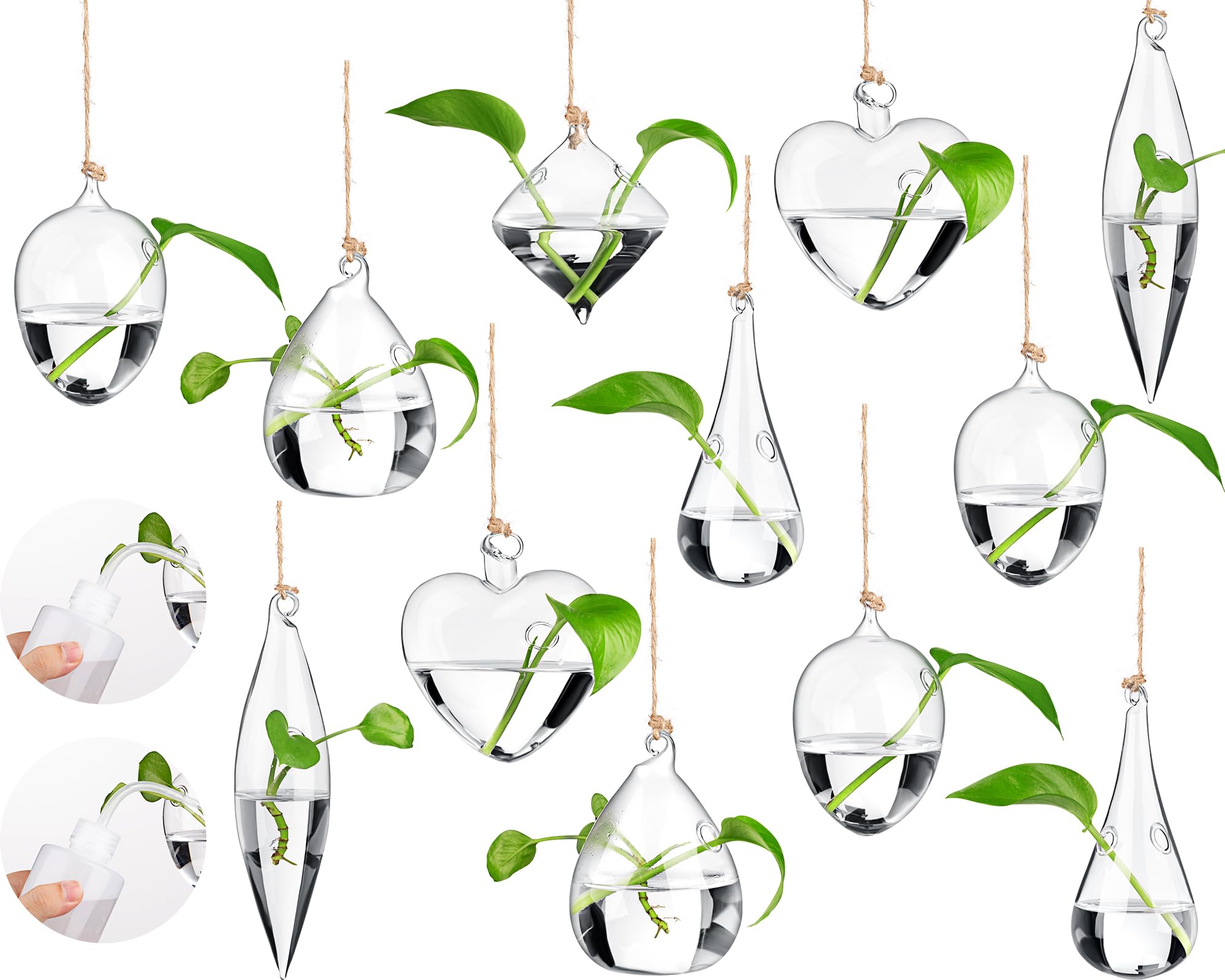 Zopeal 12 Sets Wandbehang Glas Pflanzgefäß Terrarien Anzuchtstationen Wand Vase Behälter Bewässerung Quetschflasche mit Seil und Haken für Hydrokulturpflanzen Blumen Heimdekoration (klassischer Stil)