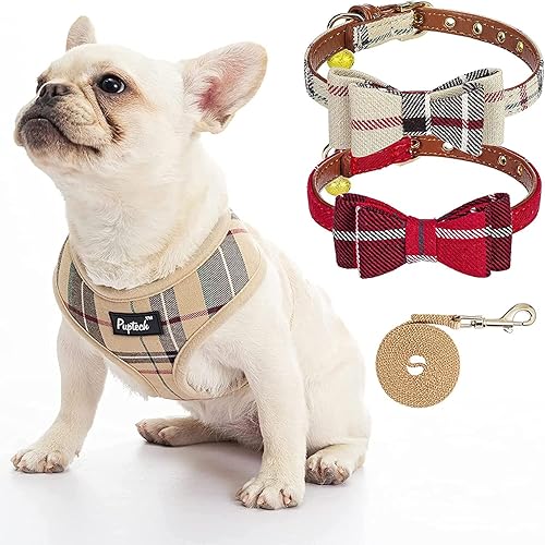PUPTECK Arnés de malla suave para perro con 2 collares – Chaleco acolchado cómodo para mascotas, arnés sin tirones, collar de perro pequeño a