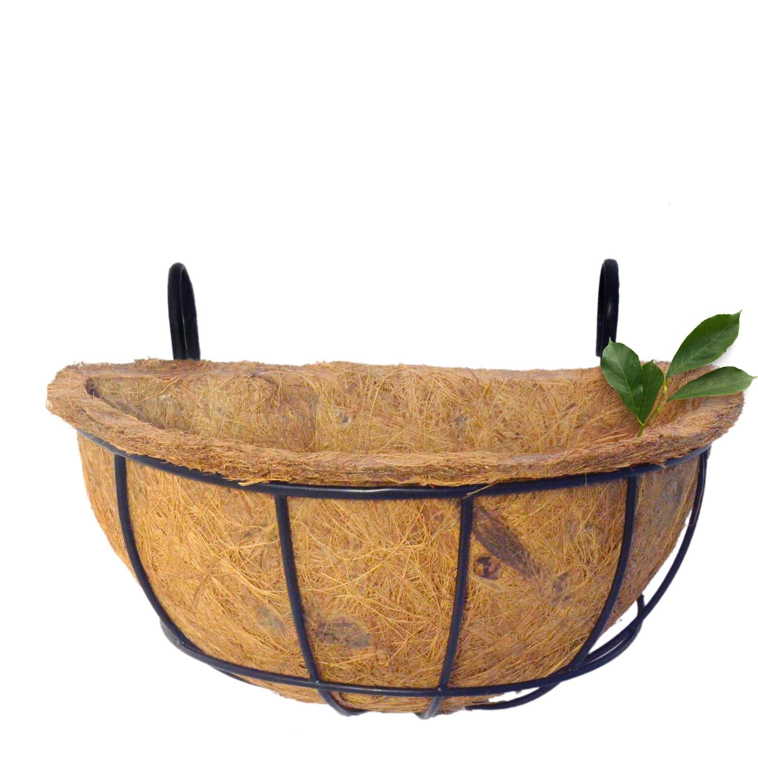 MUDDSTYLES Coir Half Liner Pot 12 Inch | Coco Fiber Wall & Window Hanging Planter Pots -Metal Wall Hanger Basket with Coco Liner Pot (10) (B0DCZLGV93) Amazon Price History, Amazon Price Tracker