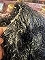 padise 30Inch 13X6 Lace Front Wigs Human Hair Body Wave 200% Density HD Transparent Lace Frontal Wigs Body Wave Pre Plucked Glueless Wigs Human Hair for Women With Baby Hair