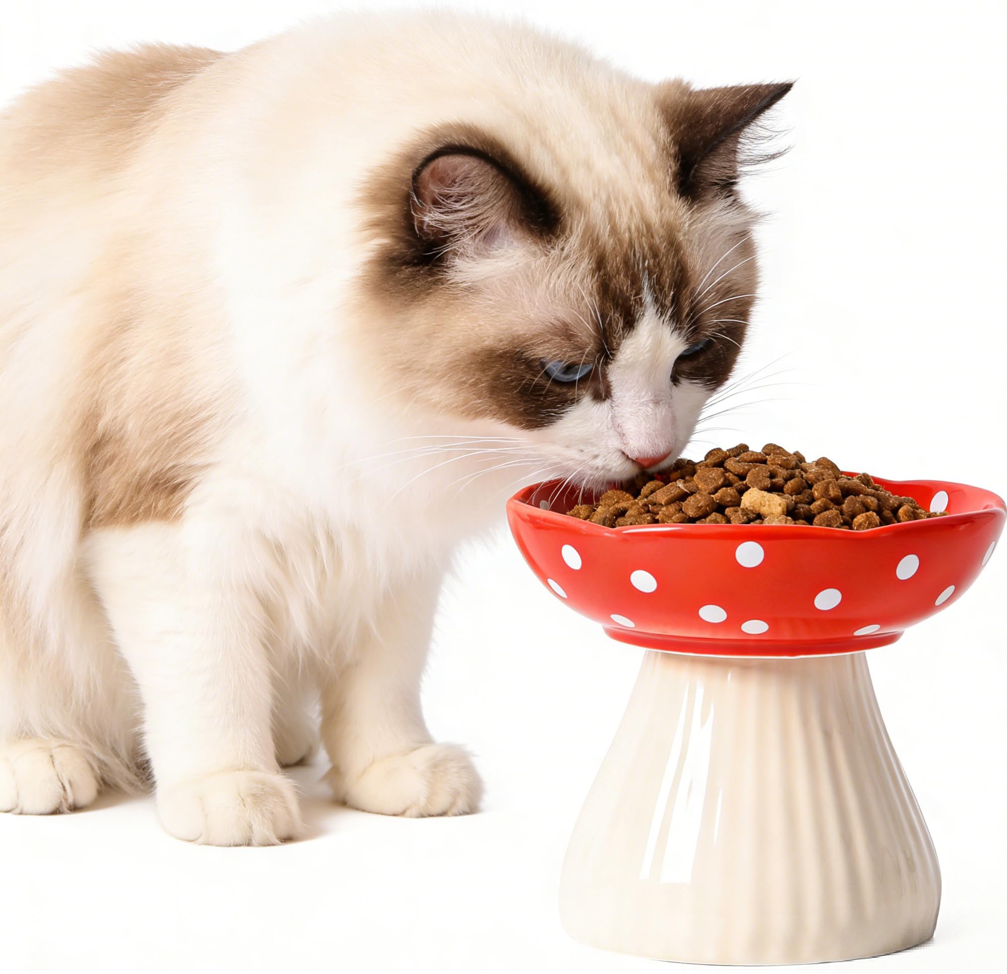 Cat Bowl,Cute Mushroom Ceramic Cat Feeder,Whisker Fatigue Cat Bowl,Raised Pet Dish for Small Dogs,Fat-Faced Cats,Kittens,Lead & Cadmium Free Ceramic Cat Bowls for Food and Water ﻿