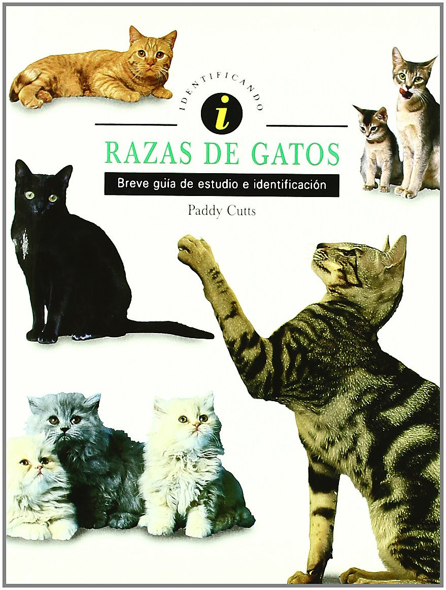 Amazon Razas De Gatos Cutts Paddy Cats amazon-razas-de-gatos-cutts-paddy-cats