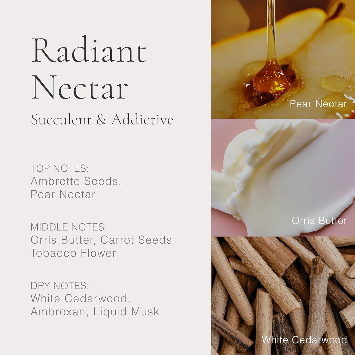 CLEAN RESERVE Fragrance Discovery Gift Set, Travel Mini Size, Layerable Perfume for Everyday Wear, Long Lasting, Vegan, Phthalate-Free & Paraben-Free - Image 8