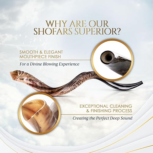 Miniatura 6 de Kudu Shofar - Instrumento musical de cuerno soplado judío kosher de Israel, instrumento musical de Kudu Shofar Angels, medio pulidonatural (juego
