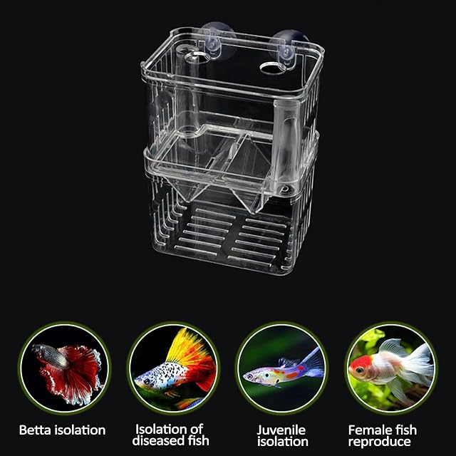 Foto 7 de 8 de Neamou Caja de criador de Peces, Divisor de pecera de acrílico para incubadora de incubadora