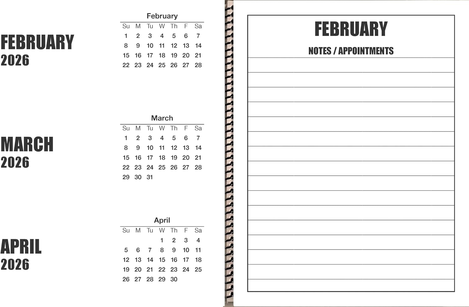 Jumbo Large Print 19-month Desktop Calendar | January 2026 to July 2027