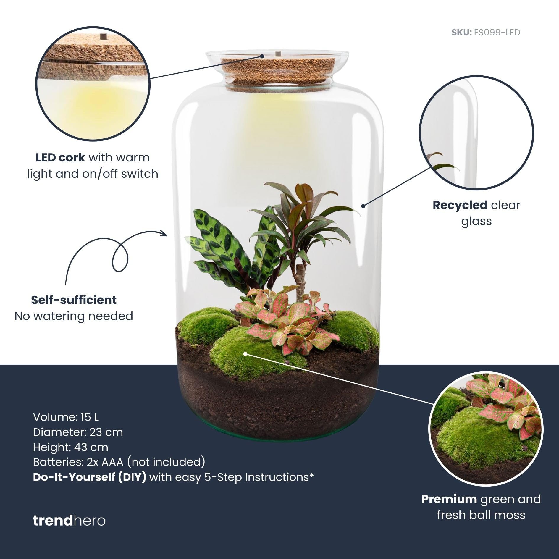 urbanjngl - Sven XL Palm Terrarium mit Licht - DIY Kit für Pflanzenökosystem - Ø 23 cm, Höhe 43 cm - Ideal für Zimmerpflanzen und kreative Gestaltung