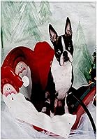 Vista 7 de 3dRose 22x30 Bath Hand Pool Towel - Molly Boston Terrier Dogs Boston Terrier