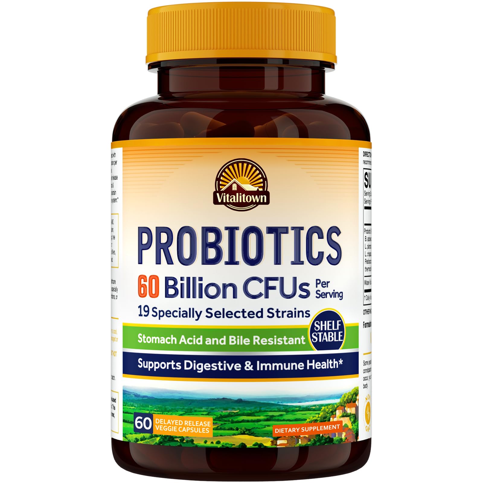 Vitalitown Probiotics + Prebiotics | 60 Billion CFUs 19 Strains | 60 Delayed Release Veg Caps | Shelf Stable, Prebiotics and Probiotics | Digestive Health, Immune Health | Vegan, Non-GMO, No Dairy