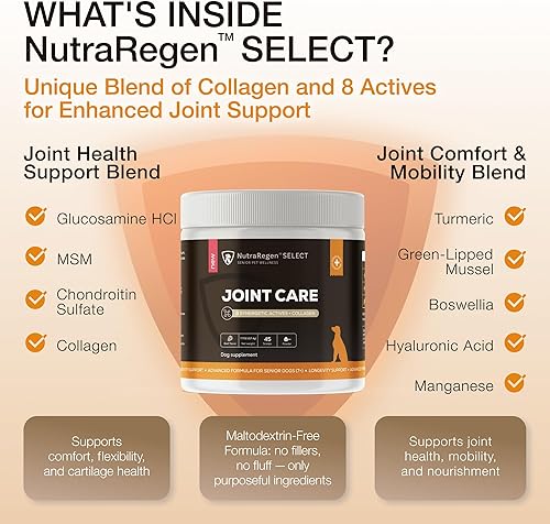 Miniatura 3 de Polvo para articulaciones selecto para perros mayores  Apoya la movilidad, flexibilidad y comodidad  Glucosamina, condroitina, colágeno, mejillón de