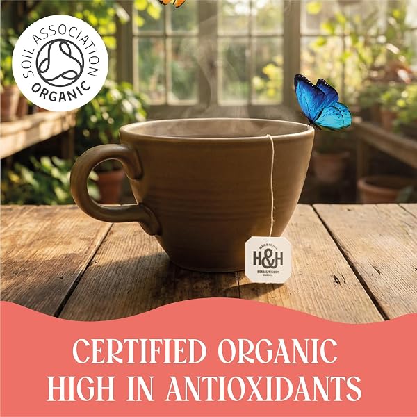 Heath & Heather - Organic Apple & Cinnamon Tea • Warming Fruit & Spice Infusion • Naturally Caffeine-Free • Vegan • Comforting & Aromatic • Multipack 6 x 20 Boxes (120 Tea Bags) - 5