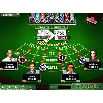 Hoyle Casino Games 2012 [Mac Download]