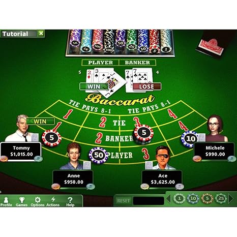 Hoyle Casino Games 2012 [Mac Download]