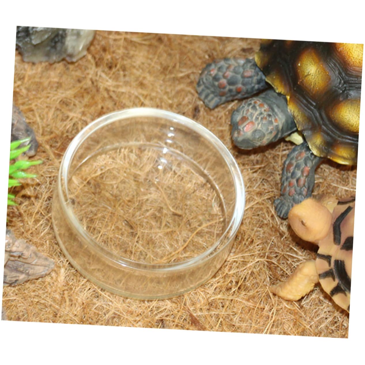 Mikikit 4pcs Pet Reptile Feeder Bowls Durable Transparent Glass Water and Food Cups for Lizards Turtles and Crickets Convenient Feeding Supplies for Reptiles