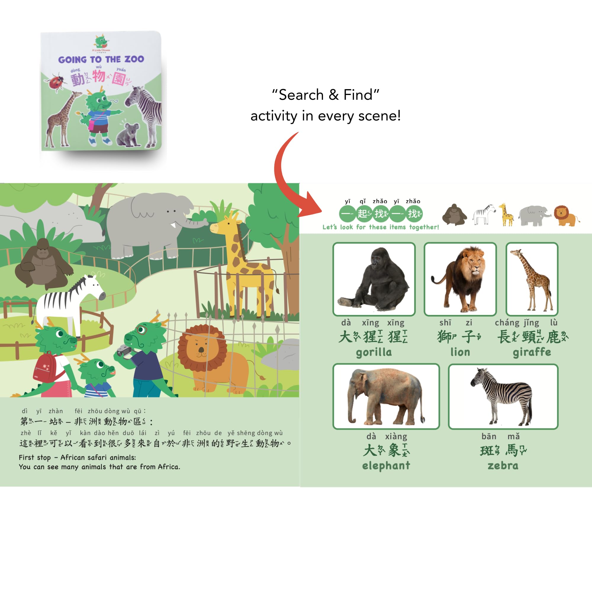 Search and Find Chinese Bilingual Big Board Book 20cm x 20cm / ~8in x 8in Set of 5 for Kids: Xiao Long’s Adventures. Traditional Chinese, ZhuYin, and English.