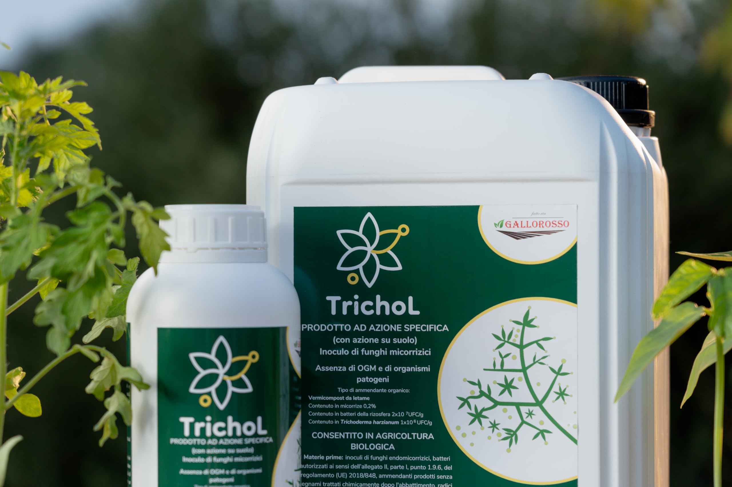 TrichoL - Inoculo funghi micorrizici - Humus di lombrico liquido con Trichoderma harzianum - Stimola lo sviluppo delle radici (5 kg)