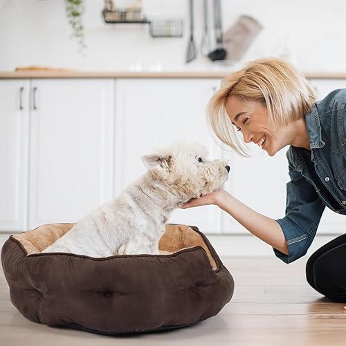 Miniatura 3 de Cama para perros pequeños de 20 x 19 x 6 pulgadas, cama ovalada lavable para interiores con parte inferior antideslizante y cojín extraíble, cama