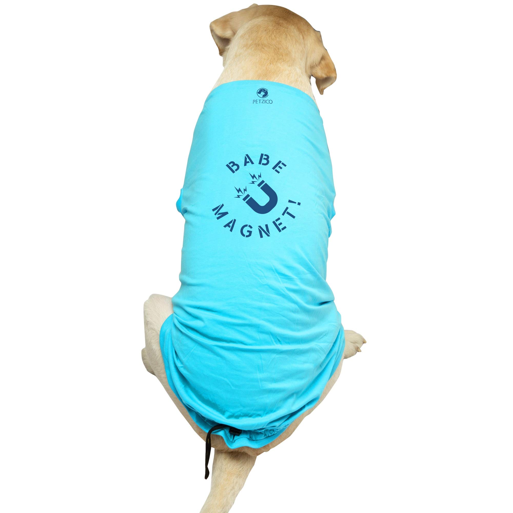 PetZico Sky Blue Dog T-Shirt | Babe Magnet | 100% Cotton Breathable Casual wear | Unisex (5XL) (B08VH6BYLY) Amazon Price History, Amazon Price Tracker