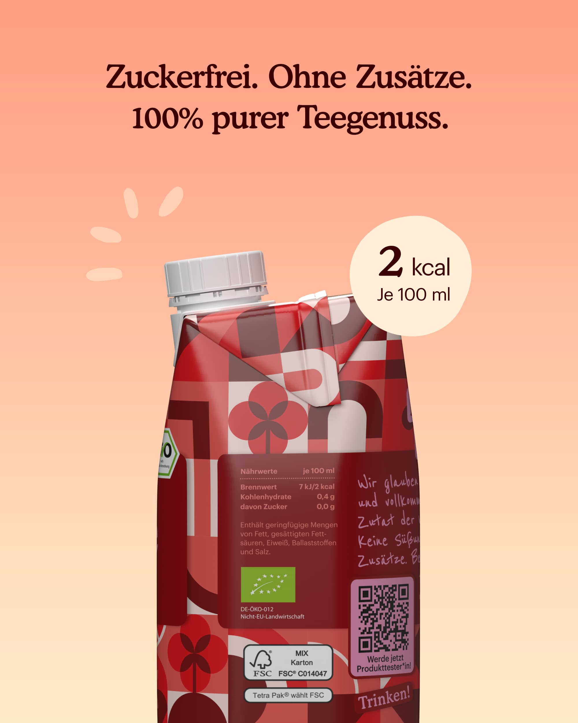 Ocha-Ocha - Bio Eistee zuckerfrei & koffeinfrei - 24x500ml - Bio Früchtetee Ohne Zucker - Ohne Süßungsmittel - Kinder Tee 100% ungesüßt - Vorratspack