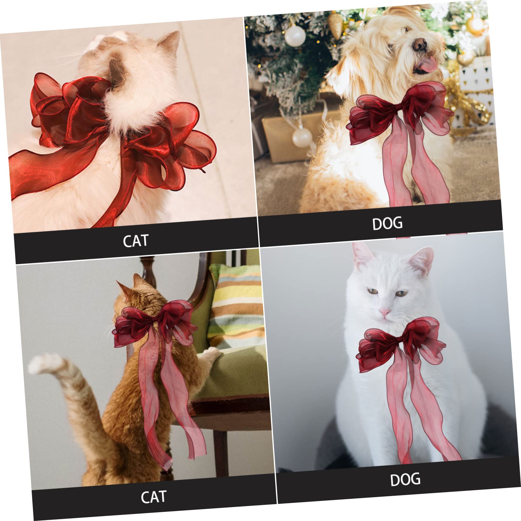 WOONEKY Collier De Chat Soyeux avec Nœud Accessoire Photo pour Chaton Collier Décoratif pour Fête d'animal De Compagnie