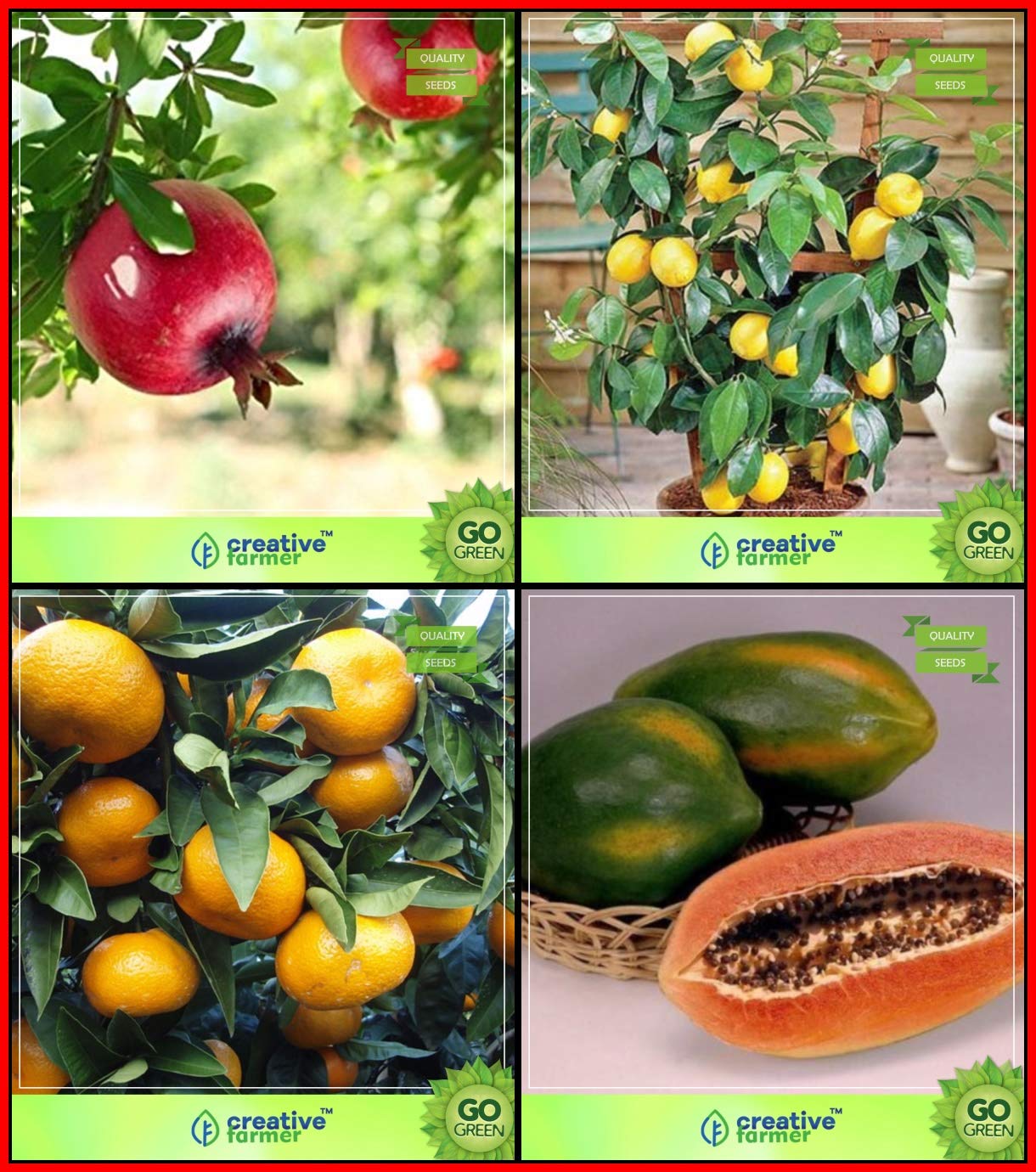 Creative Farmer All Season Garden Seeds Combo Fruit : Pomagranate, Lemon Seeds, Orange, Papaya Fruit Kitchen Garden Pack (B07HTWV6NR) Amazon Price History, Amazon Price Tracker