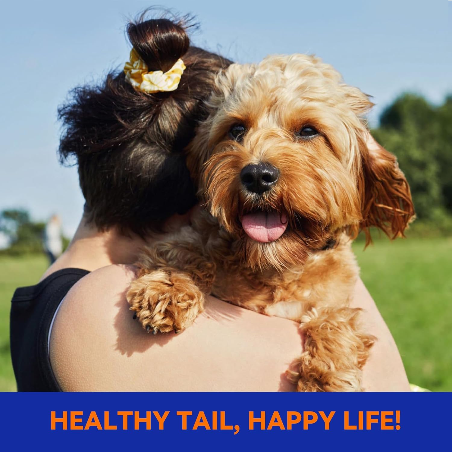 Flea & Tick Collar, Vet-Recommended Flea & Tick Treatment & Prevention Collar for Dogs, 1 Count, 27"